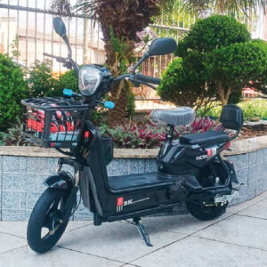 Bicicleta elétrica (autopropelido) Gigin – motor 500W